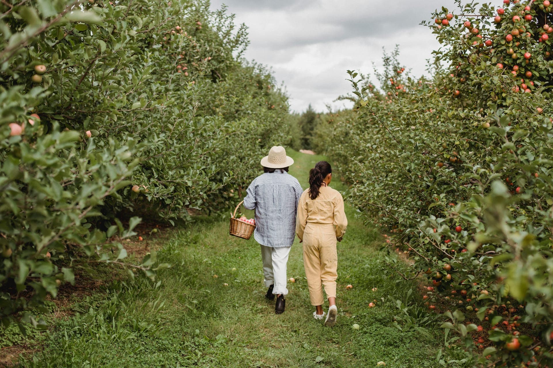 Two farmers walking through an orchard, representing support for your farming journey