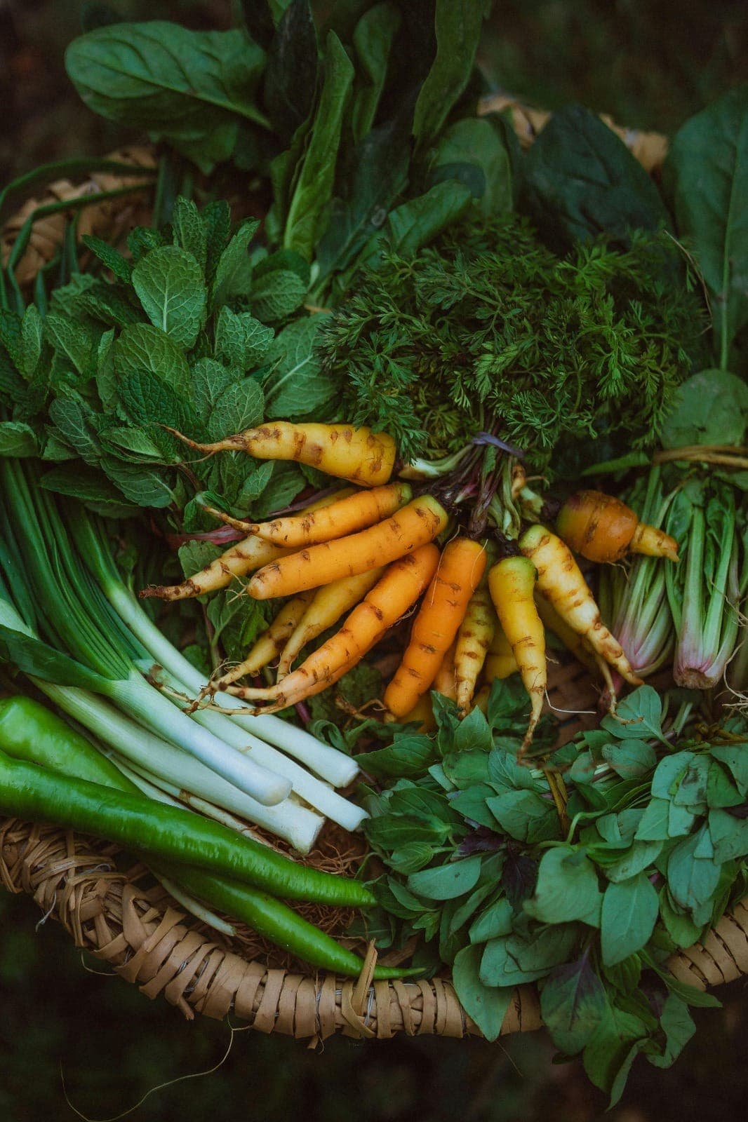 Harvest supporting organic farming